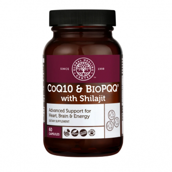 Global Healing Centre CoQ10 & BioPQQ with Shilajit